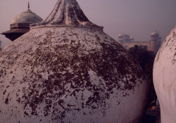 soleilglow:INDIA. Uttar Pradesh. Agra. Taj Mahal. 1985 // Raghu Rai