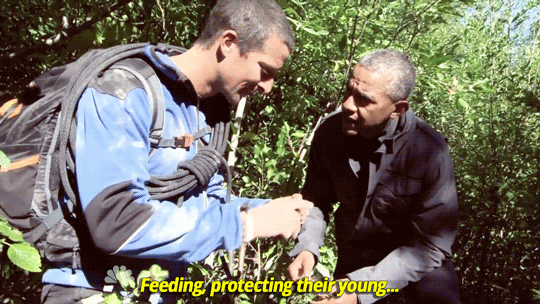 sandandglass:    Running Wild with Bear Grylls feat. President Barack Obama
