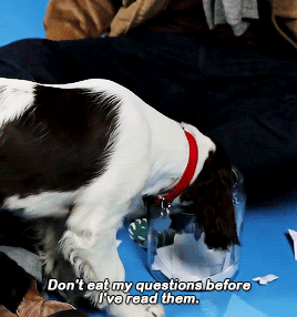 poirott:Benedict Cumberbatch Plays With Puppies While Answering Fan Questions - Buzzfeed interview, 