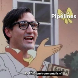 Allthecanadianpolitics:  This Meme Is So Good.credit To Arnell Tailfeathers.