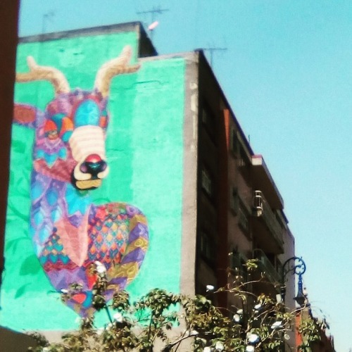 México y sus calles. No todo es Violencia, pobreza y vergüenza. Fotografía: Satan
