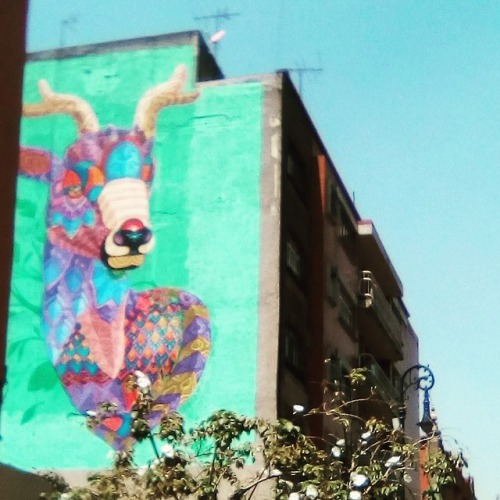 México y sus calles. No todo es Violencia, pobreza y vergüenza. Fotografía: Satanás Parado