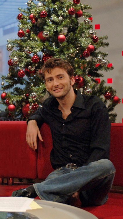 XXX mizgnomer:  David Tennant - Christmas Tree photo