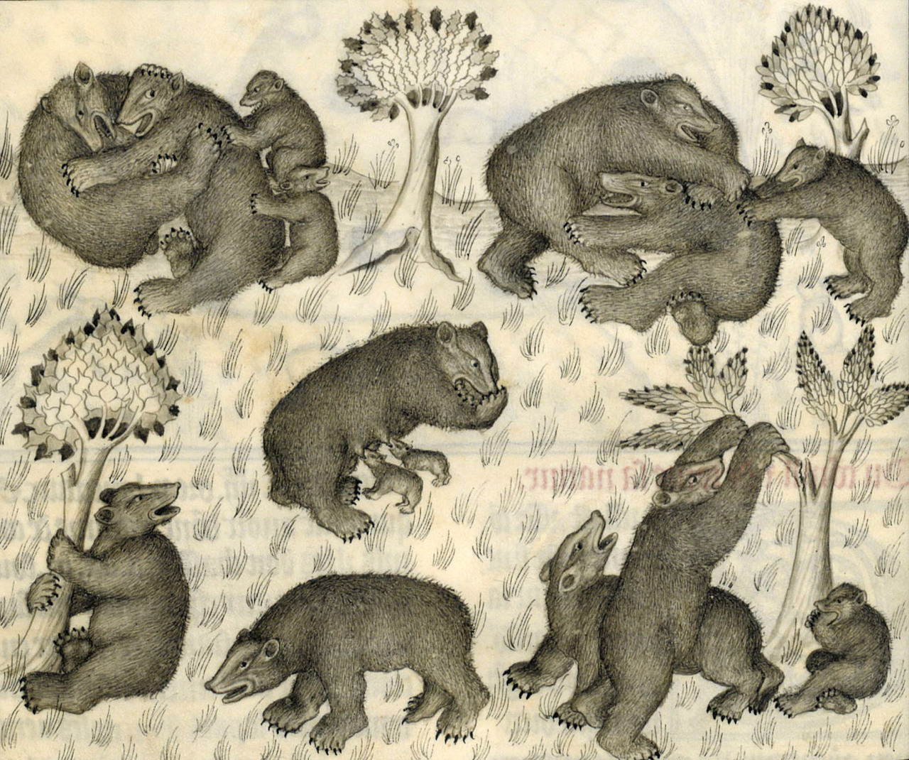 discardingimages:  bears Gaston Phoebus, Livre de la chasse, Avignon ca. 1375-1400