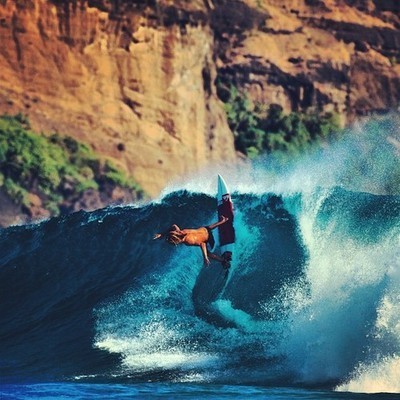 Paradise Surf