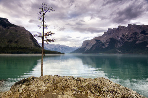 Lake Minnewanka by Gwendolyn Allsop