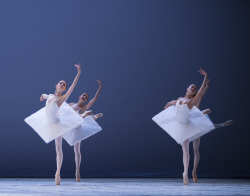 complexae:  Dutch National Ballet by ph.