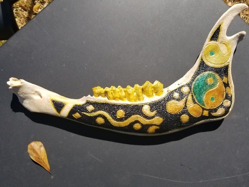 .SPEAK BALANCE. Ink on carved bison jaw