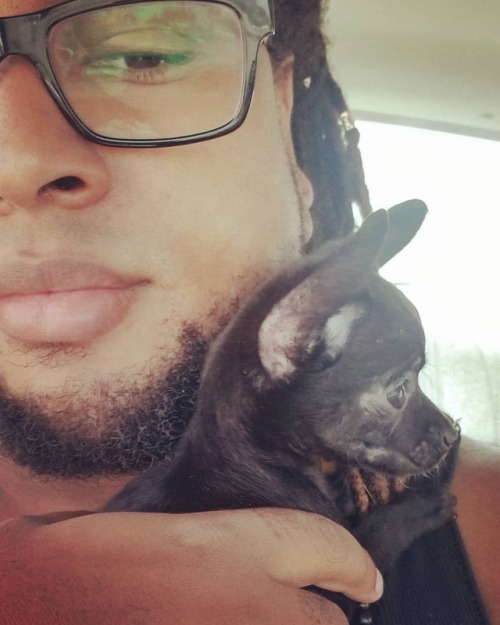 Baby’s first car ride…look how terrified she looks lol. #fauxtography #menwithlocs #pup