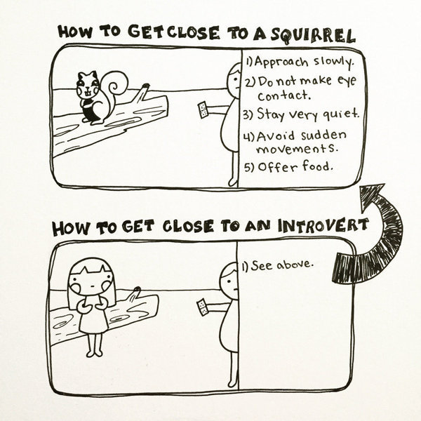 introvertunites:    If you’re an introvert, follow @introvertunites​​​. 