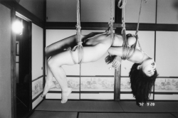 aestetix:  Nobuyoshi Araki 