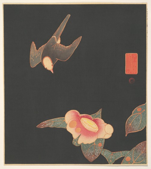 Swallow and Camellia, 伊藤 若冲 Itō Jakuchū, Japan, ca. 1900Met Museum New YorkProvenance: Mrs. Herbert 