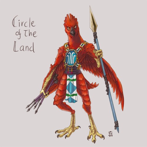 CIRCLE OF THE LAND (♂ Aarakocra)A colorful male aarakocra from the cloudy peaks of Chult, ready to d