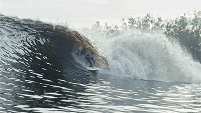 digg:  Also Kelly Slater is p good at surfing
