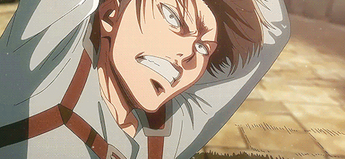 Happy Birthday, Levi Ackerman! [Dec. 25]