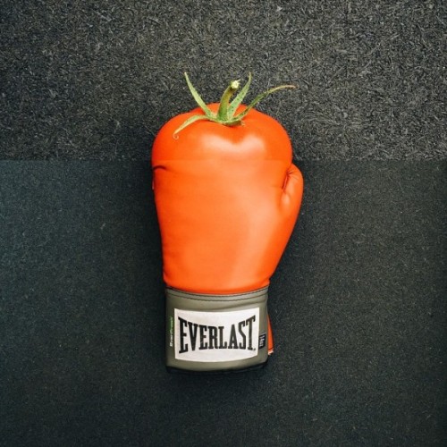 actegratuit:    Stephen McMennamy  combo photos