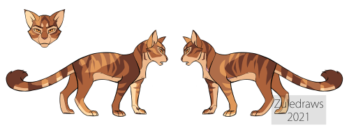 Leafstar - LeafdappleAka. Best leader 3 designs cause I couldn’t decide whether I liked her with whi