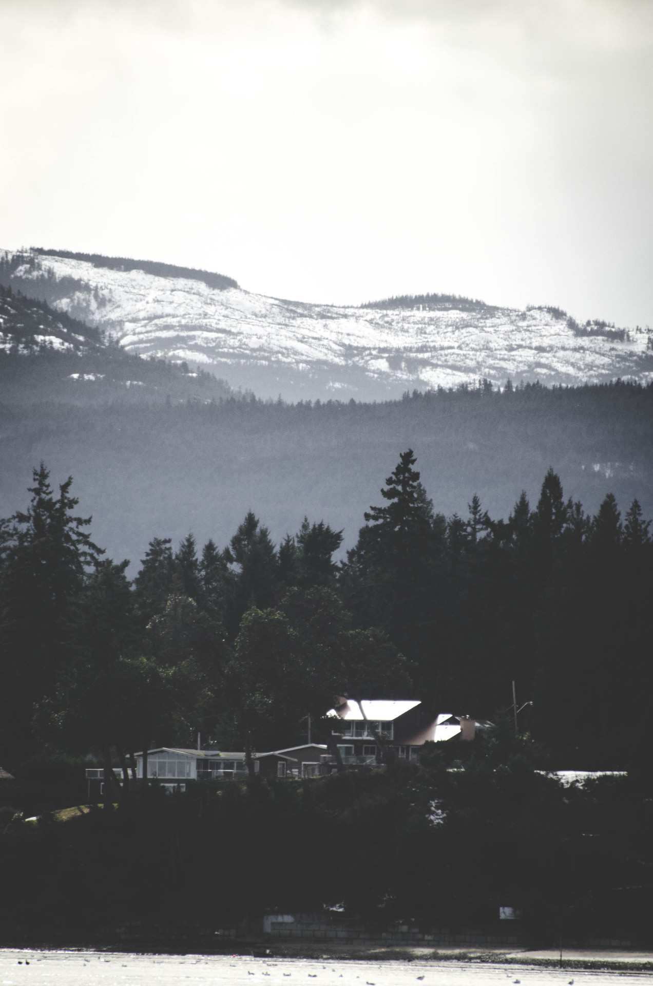 oh-haroo:  Follow me for more vertical nature!