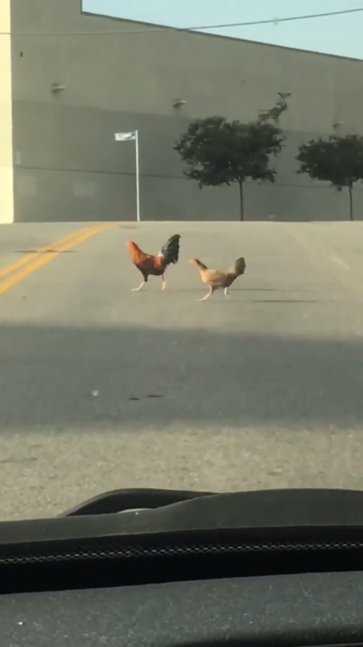 kissingcowgirl:  favorite stolen moments this year
