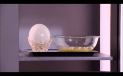 gaspthewontons:  goddamn amateur cant even identify an ostrich egg