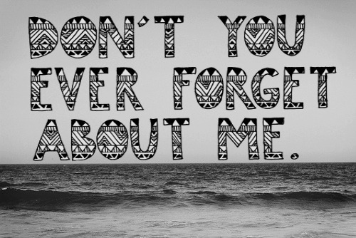 lovequotesrus:  EVERYTHING LOVE