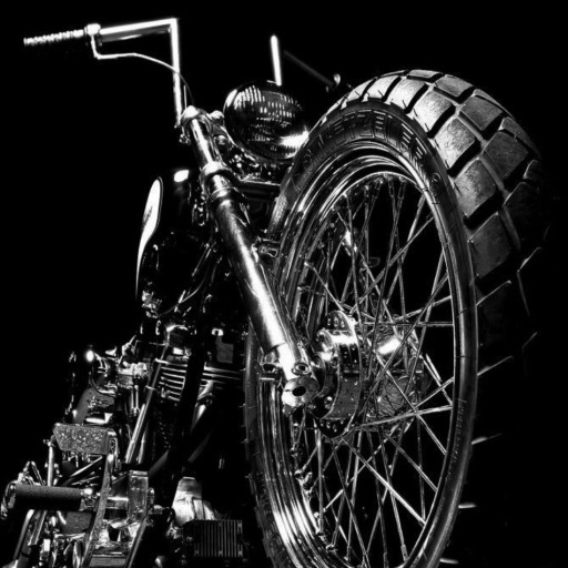 bbw-bikes-babes-whiskey: