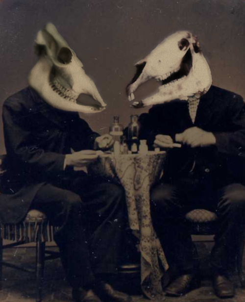 the-shy-oxymoron:  I like my gentlemen in fossil form
