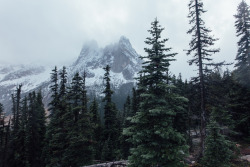 photosbygriffin:  Misty mountains 