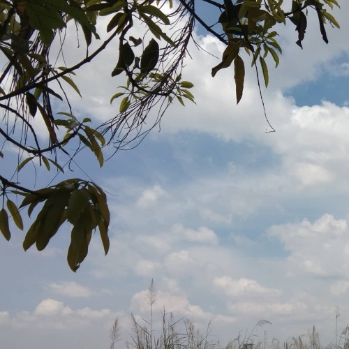 View from our front door in Surabaya. #clouds #freshair #opportunity #covi̇d_19 #socialdistancing #h