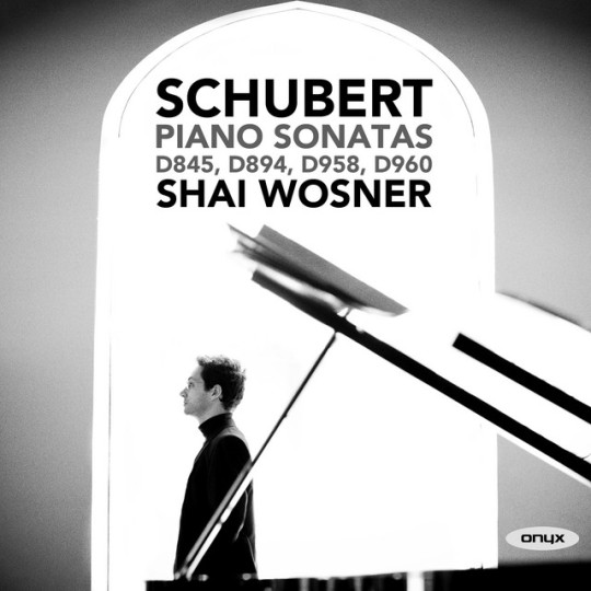 Schubert: Piano Sonatas D. 845, D. 894, D. 958, D. 960