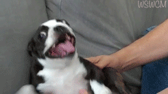 Getting tickled