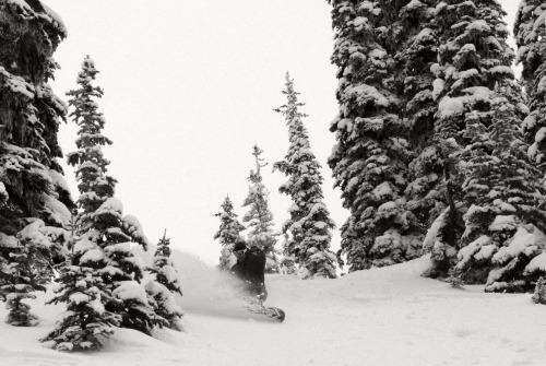 Low entry tree riding will always have its good days, it wont get your adrenalin pumping….but it sure will put a smile on your face. Rider: Anders Berling