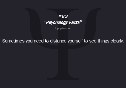 tumblr photo refocuses 0