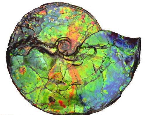 Ammolite, revisited&hellip;While I did cover this lovely gem material before (see on.fb.m