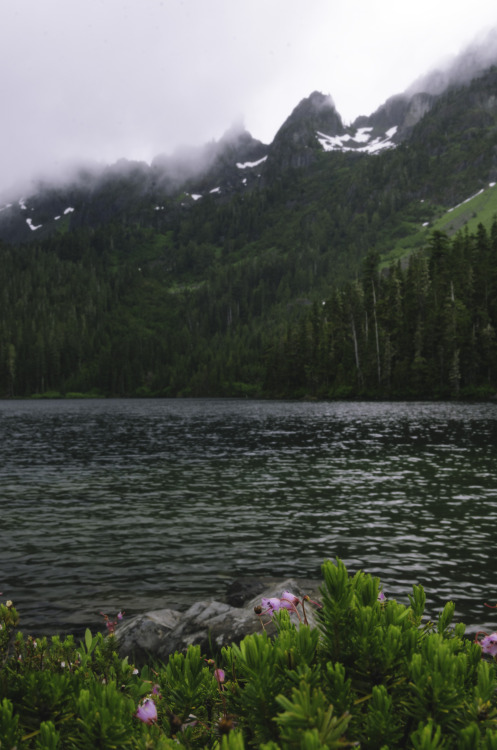 millivedder: Washington Mountains