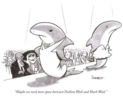 fuckyeahsharks:  (via Daily Cartoon: Thursday, September 4th - The New Yorker)