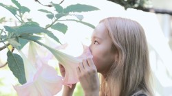 k-ayo:     lovely song  by: mu_gung    Angel trumpet vine super fucking poisonous loll wyd w it on your face!