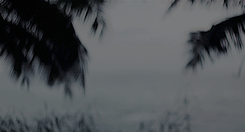 griffinskane:I’m the violence in the pouring rain. I’m a hurricane.