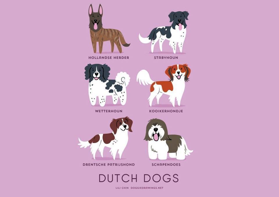 exhibitionistatheart:  50fuckingandlovingit:  bethsimon:  Dogs Of The World!!  💋