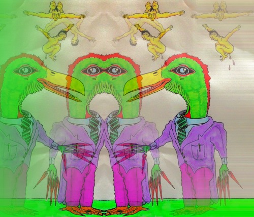 mvrtexecrvble: aves rapaces 