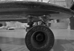 tjayprods:  Dads skateboard from back in