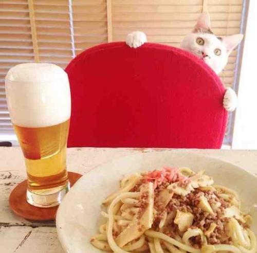 Porn Did somebody say pasta?! And BEER? photos