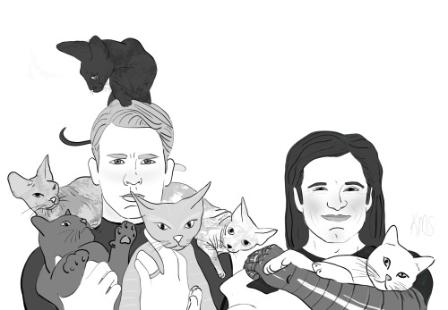 CATS!