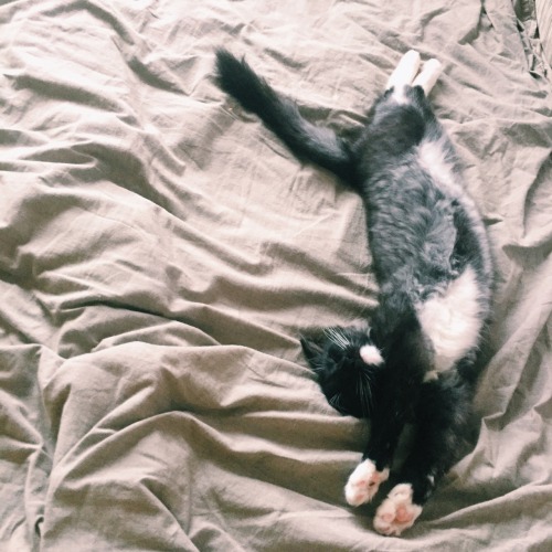 Создано с помощью VSCO®