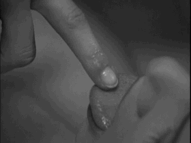 Allow me the pleasure... of pleasuring you...