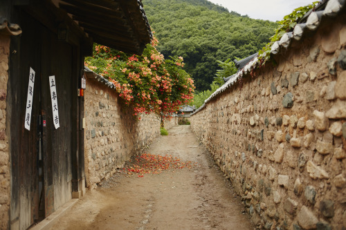 남평문씨본리세거지