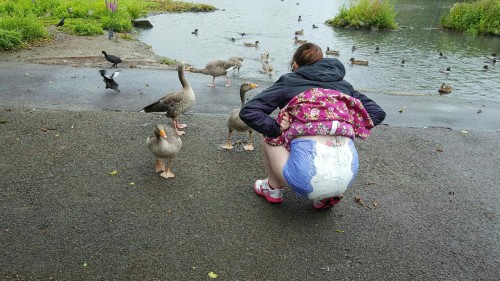 abgirlanddaddy:  Cheering up a sad little girl with a trip to feeding geese!