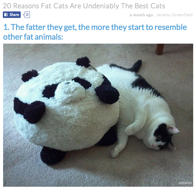 princessamanda13:  blue-pickle-69:  ginggee23:  officialbunghole:  hi:  20 Reasons