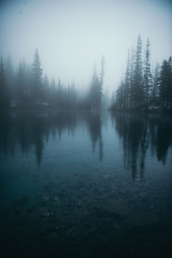 teapalm:  (Tasha Marie) | Grassi Lakesprints