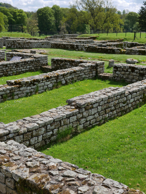 Barracks and Stables, Chesters Roman Fort, Hadrian’s Wall, 13.5.18.